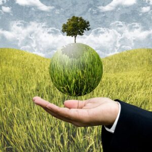 AGRICULTURA CLIMATICAMENTE INTELIGENTE E SUSTENTABILIDADE