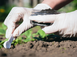 CIÊNCIA DO SOLO: PEDOLOGIA