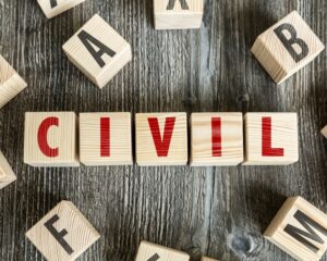 INSTITUIÇÕES DO PROCESSO CIVIL