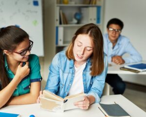 PRÁTICA PEDAGÓGICA E METODOLOGIA DO ENSINO DE LÍNGUA E LITERATURA