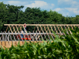 PROJETOS DE PAISAGISMO E DE CONSTRUÇÕES RURAIS